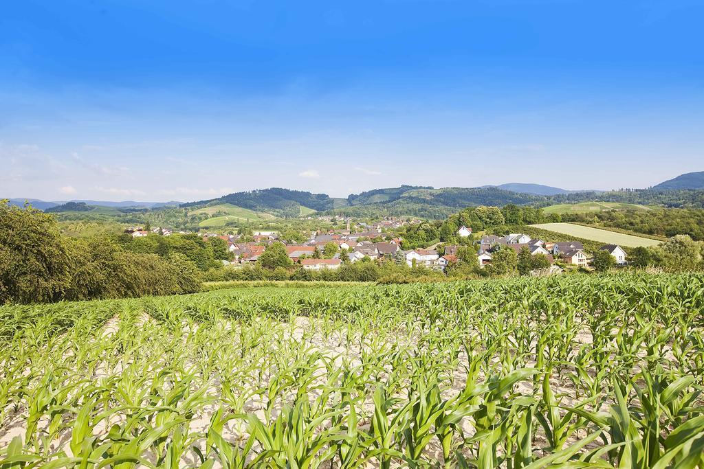 Hotel Gasthof Engel Appenweier Esterno foto